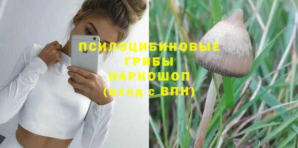бошки Нея