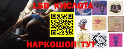 винт Будённовск