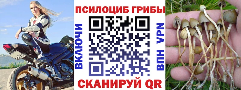 Псилоцибиновые грибы Psilocybe  как найти закладки  Краснодар 