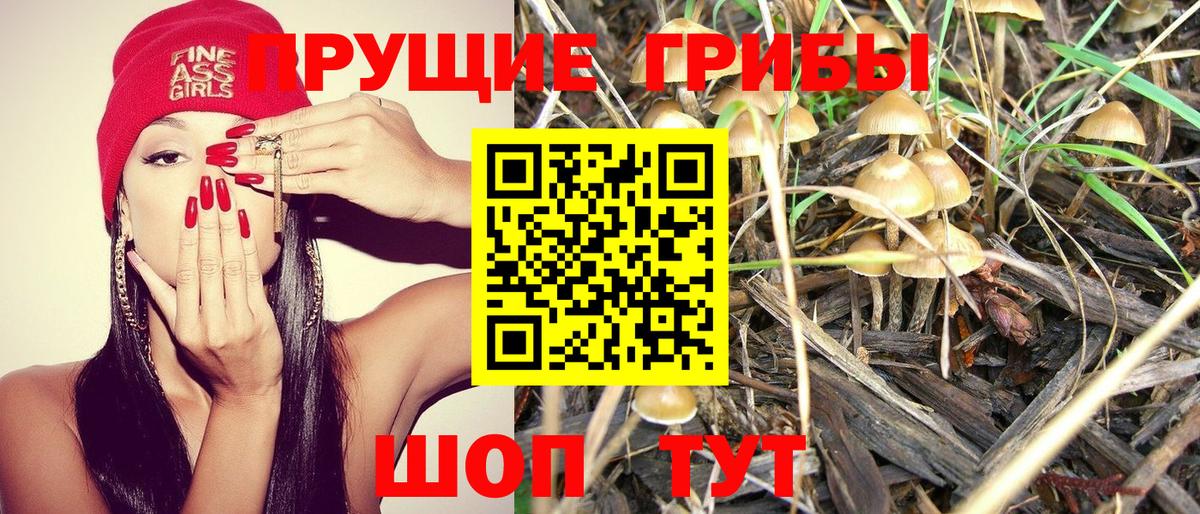 Краснодар  Псилоцибиновые грибы прущие грибы  Вход с VPN 