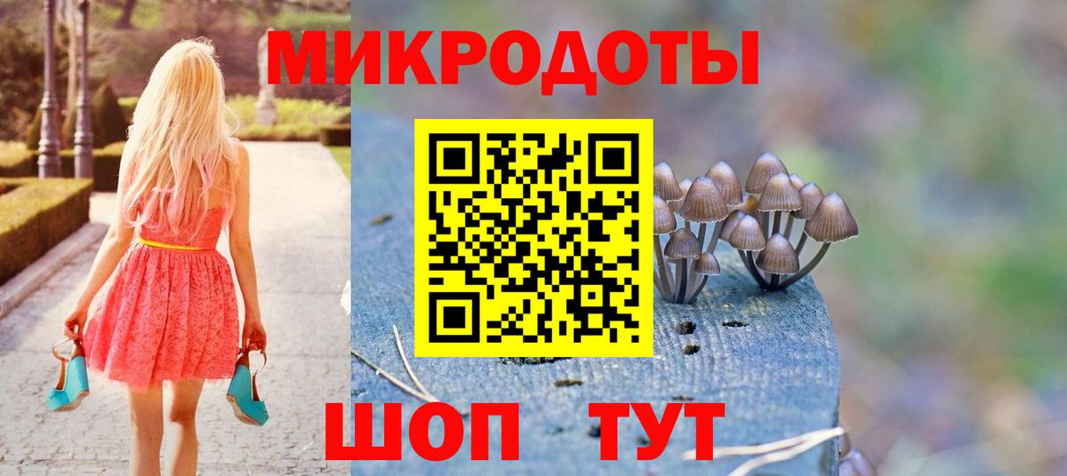 Галлюциногенные грибы Psilocybine cubensis  Псилоцибиновые грибы ЛСД  Краснодар 